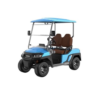 İyi bir fiyat. Aile ve sahilde avlanmak için uygun fiyatlı 2 kişilik elektrikli golf arabası. çevrimiçi